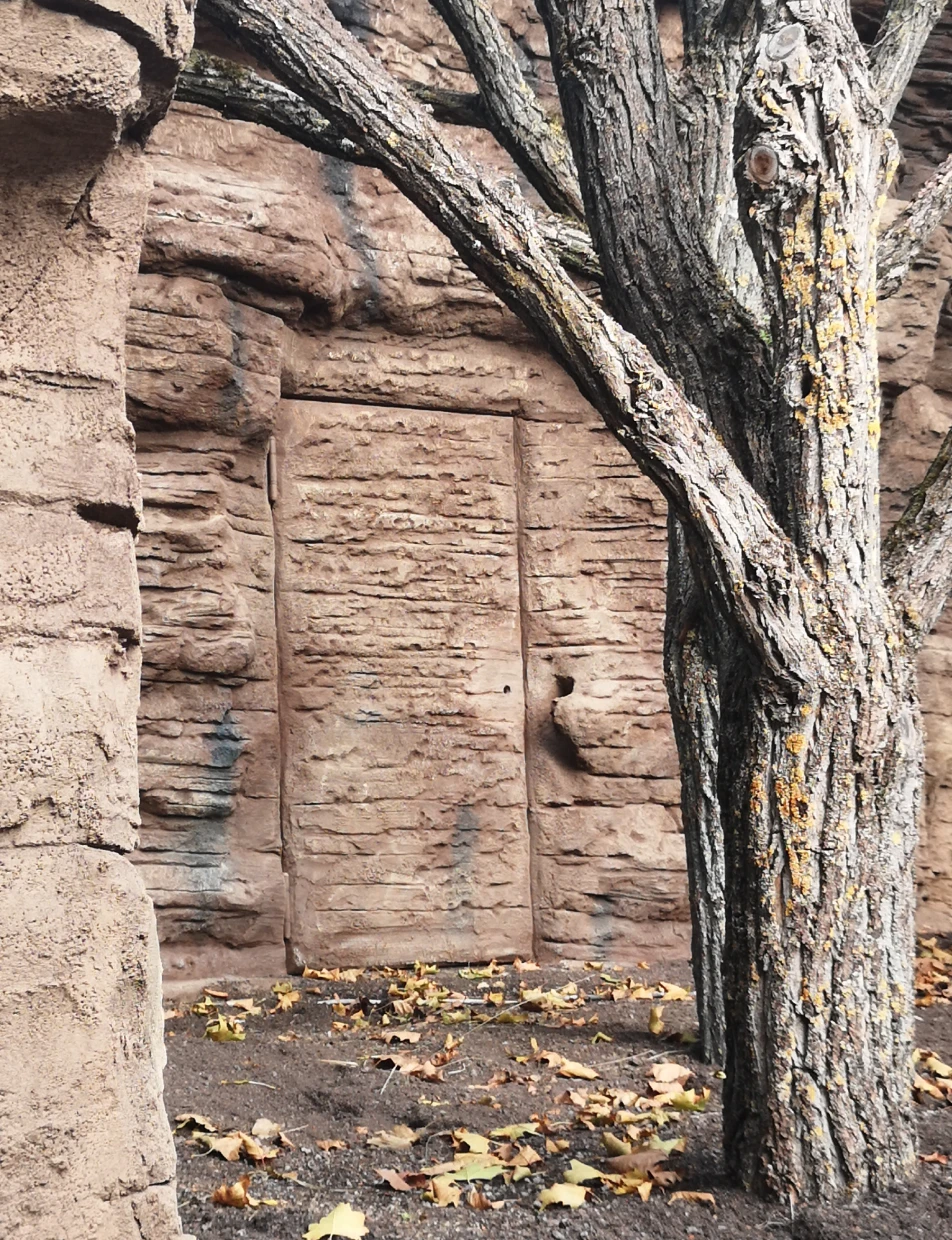BUCHELE DELUXE door in sandstone look next to a tree trunk