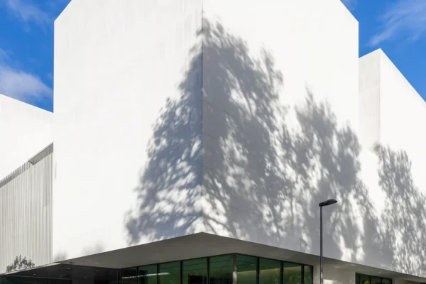 museum-palceholder Weißer Museumsbau mit Schattenspiel von Bäumen an der Fassade