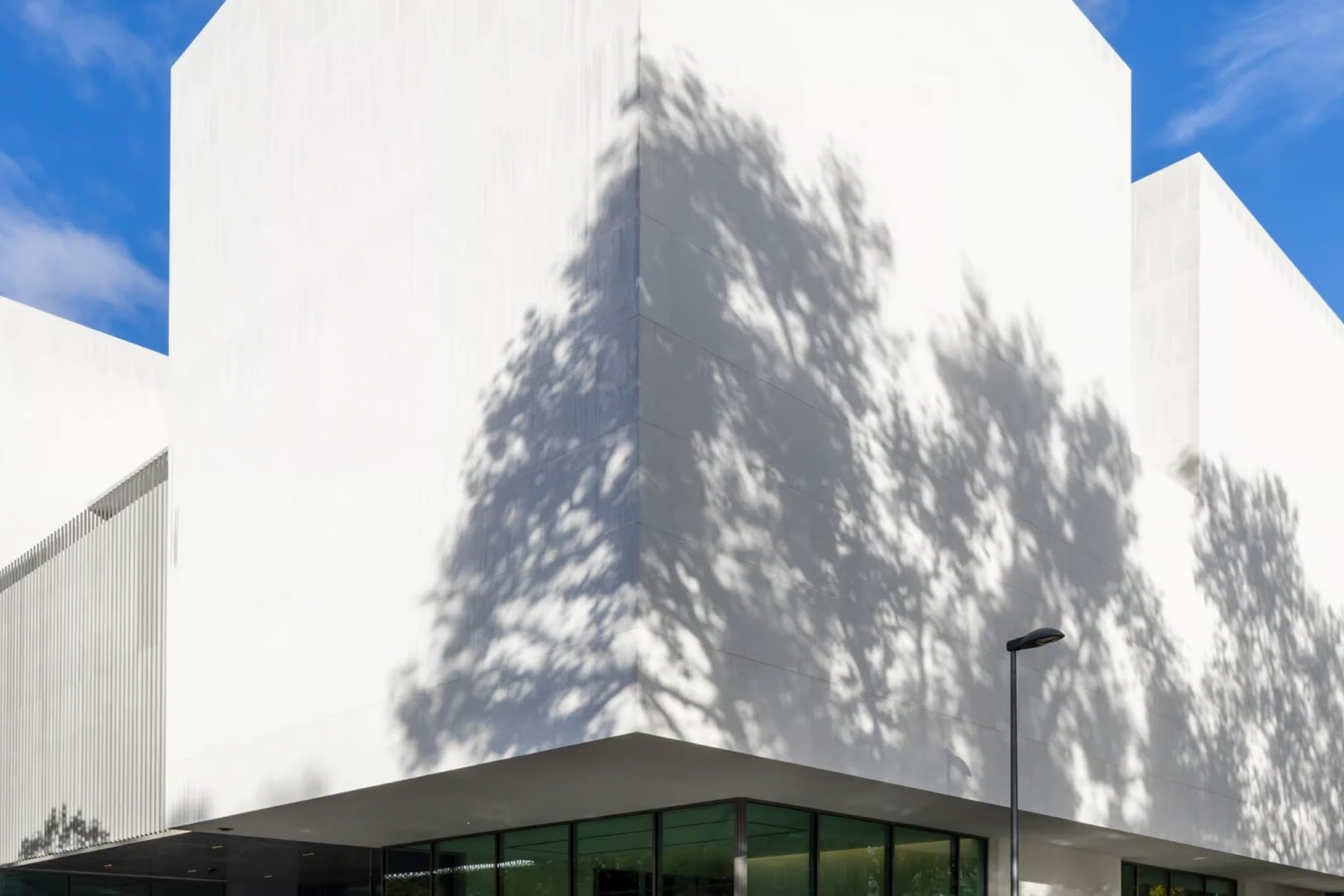 Weißer Museumsbau mit Schattenspiel von Bäumen an der Fassade