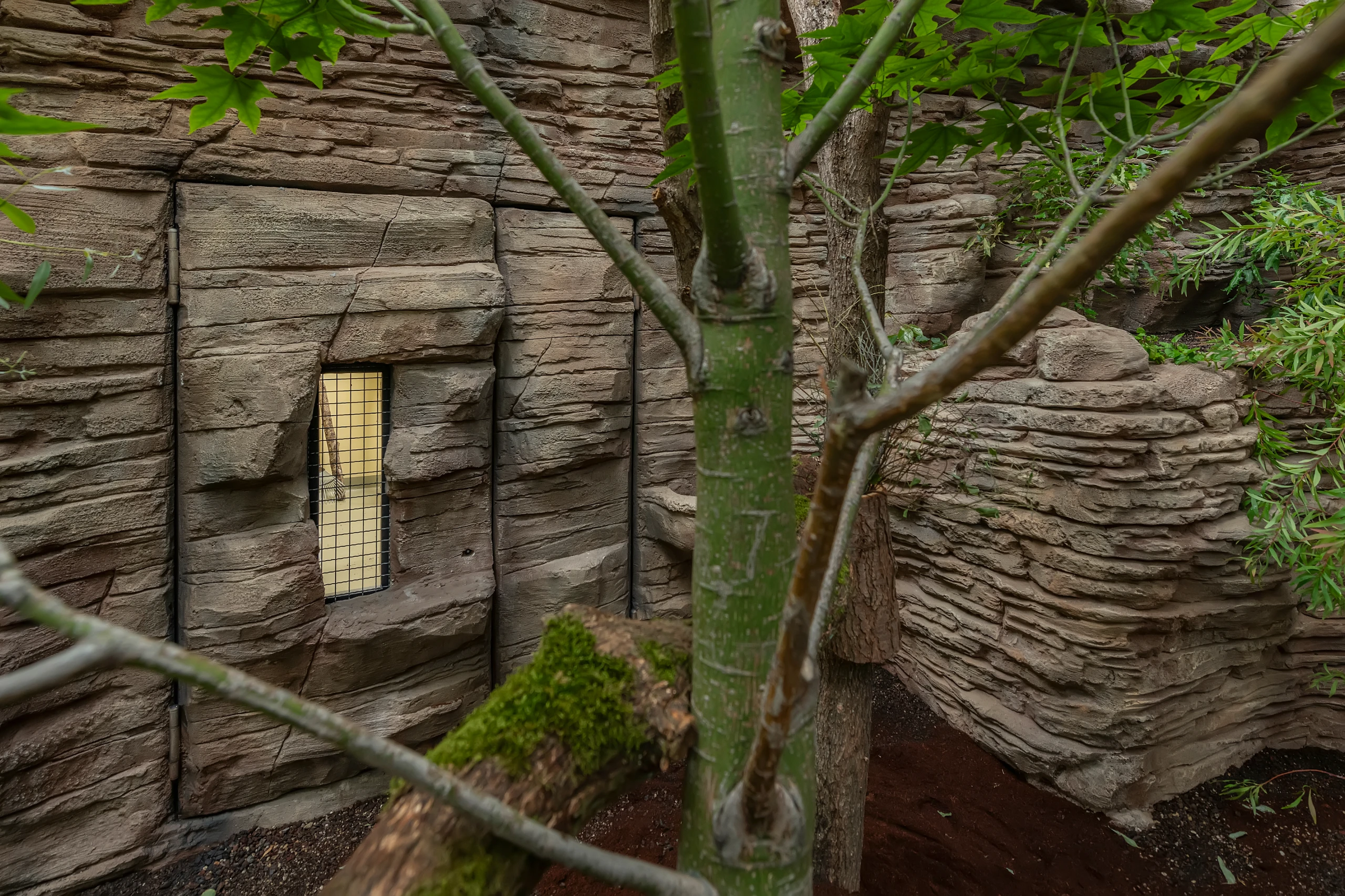 Tür in Felsoptik mit Sichtfenster im Terra Australis der Wilhelma Stuttgart