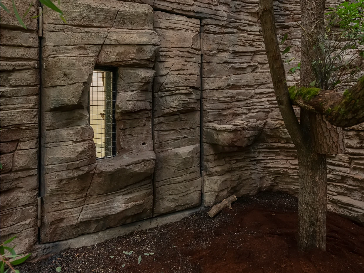Gehegewand in Felsoptik mit Sichtfenster im Terra Australis der Wilhelma Stuttgart